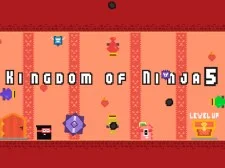 Kingdom of Ninja 5